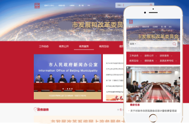Gov 行政官网类型