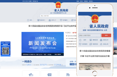 Gov 行政官网类型