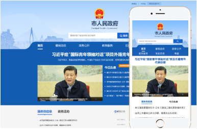Gov 行政官网类型
